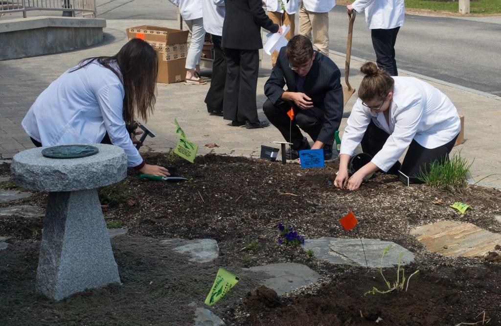 Health Professions students planting herbs