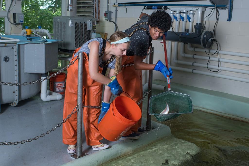 Two students in orange overalls catch fish with a skimmer net in the marine science center lab