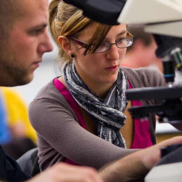 两个学生一起做一个显微镜实验项目